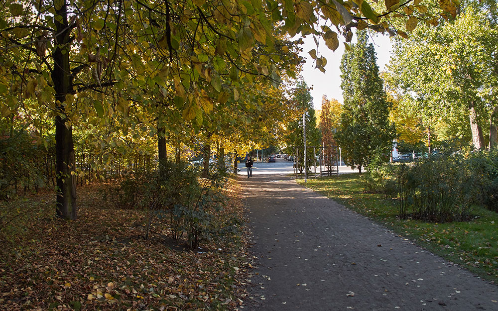 Foto: Weg am Jüdischen Museum 2012.